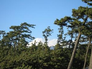 沼津御用邸からの富士山、右の白い物体は雲です